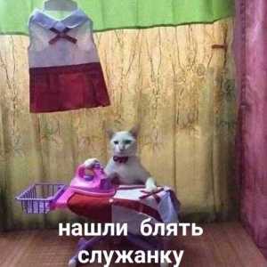 nikita2003cool