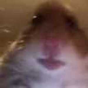 Bawlsinyojawls