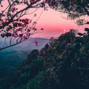 ProdbyRada