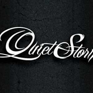 quietstorm859