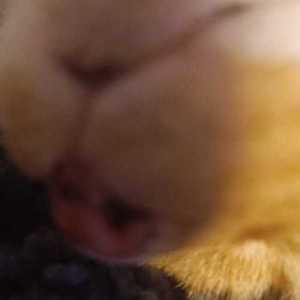Kazikaa1