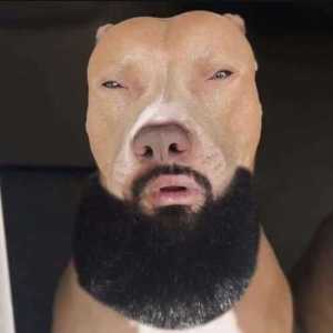 Amirmmske