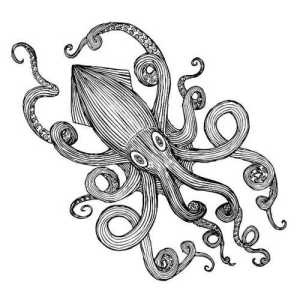 SquidMusicProduction