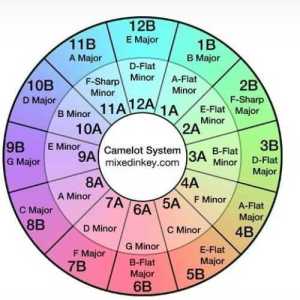Dynamo619