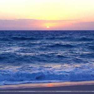 Oceanexe