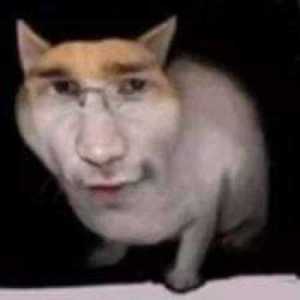 HoneyCock