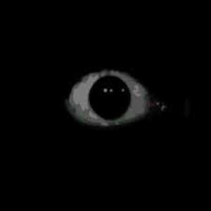 Free Raining Hell Dubstep Bass Synth Loop By Nosurvivors #435242 ...