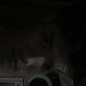 Rareisrare999