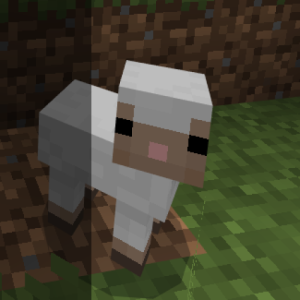 raraa