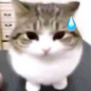 kroxxuuu