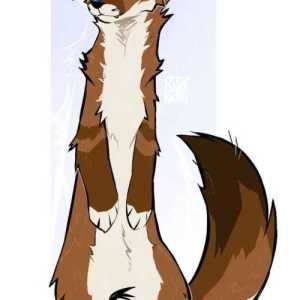 mattufx