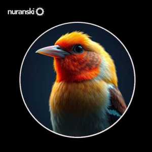 Nuranski
