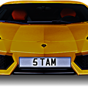 5tamm