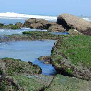 saldarriagaleonjosue