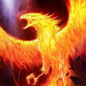 StarsOfFire