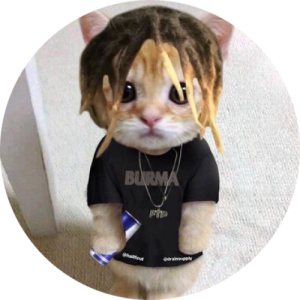 tinytim420