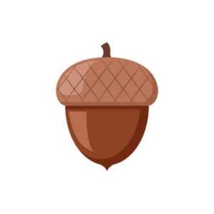 JimbyAcorn