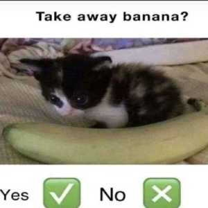 CrusnrColven