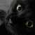 SilverFox_Jams