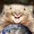 CombatWombat
