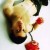 DjCreySis