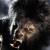Wolfman24