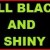 allblackandshiny