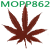 Mopp862
