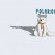 PolarCoded