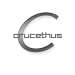 crucethus
