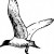 Berck