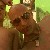 crstheman