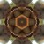 qoblox