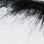 TheRevoutionist