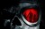 Telamon