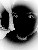 AudioLegionLLC