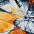 Cathexis