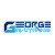 georgegavoyannis