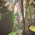Sahana1234