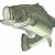 BassyBill