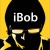 iBob33