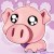 piggitoemicyolo