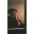 Calthegoat12