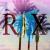 rxMUSIC
