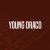 youngdraco