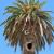 baritoni90