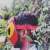 bkthabiso