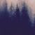 fichoto