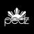 pedzmusic