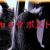 borntodie013